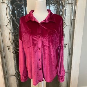 VICI Pink Velvet Button Down Shirt